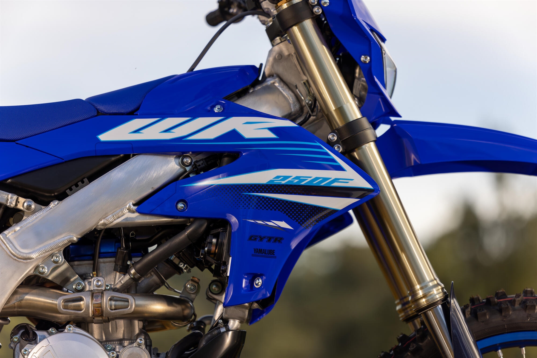 2025-Yamaha-WR250F-EU-Icon_Blue-Detail-003-03
